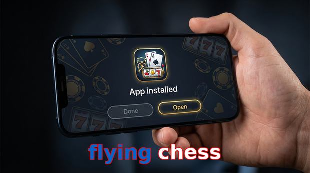 Payment and PKR controls in Flying Chess