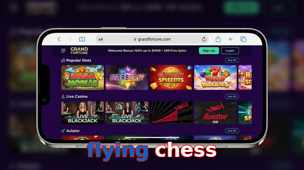 Main screen of Flying Chess ios page for PK players