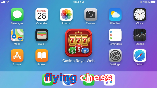 Payment and PKR controls in Flying Chess