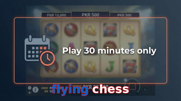 Payment and PKR controls in Flying Chess